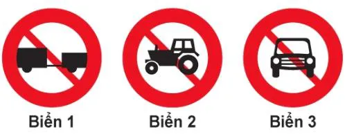 Câu 342